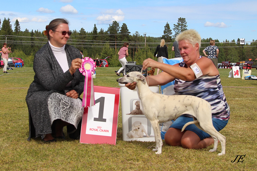 BISBaby Tappinskis Yah Yah