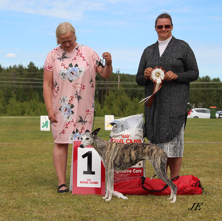 BIS BRUKSHUND Carry On Liberian Girl