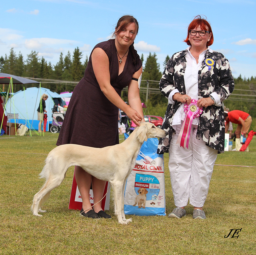 BIS JUNIOR Al Wathba Faazila Obi El-Mas