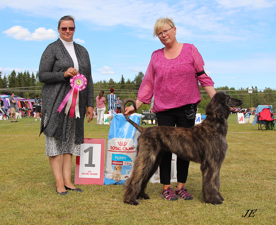 BIS VALP Scaramis Night To Remember