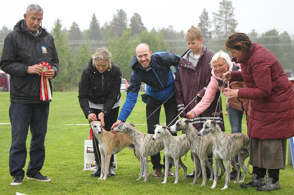 BIS AVELSGRUPP FI & SE LCCH FI & SE UCH SE VCH Chase Me Ace Of Spades