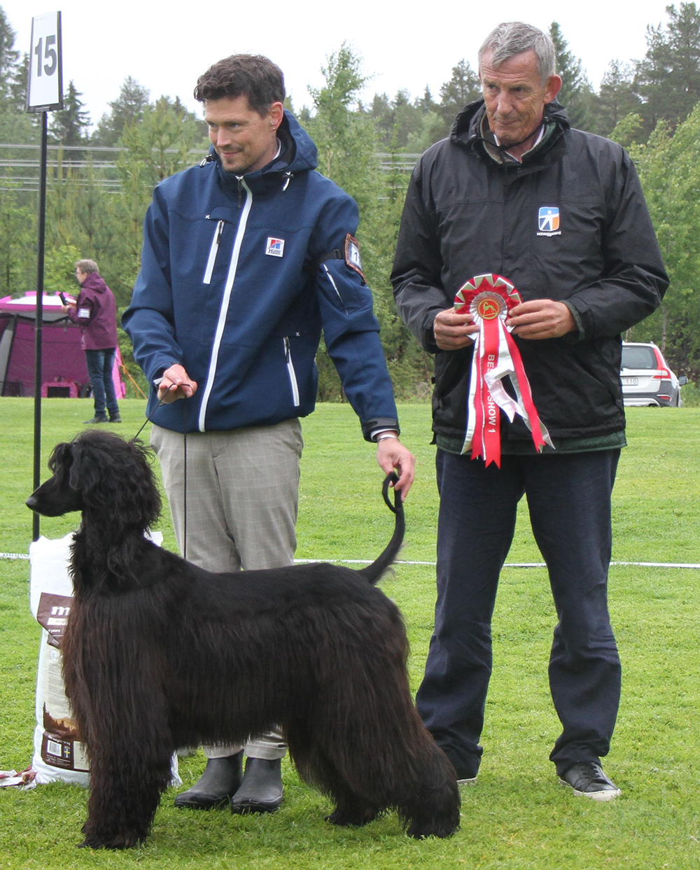 BEST IN SHOW Unstoppable Love The Zcoop