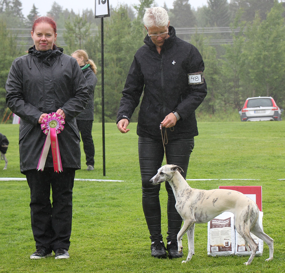 BIS JUNIOR Medali Someone Very Special