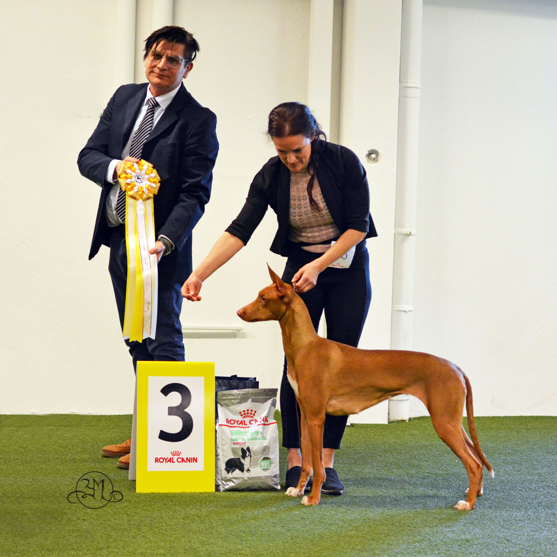 BIS-3 Red Calluna's Princess Of Venice