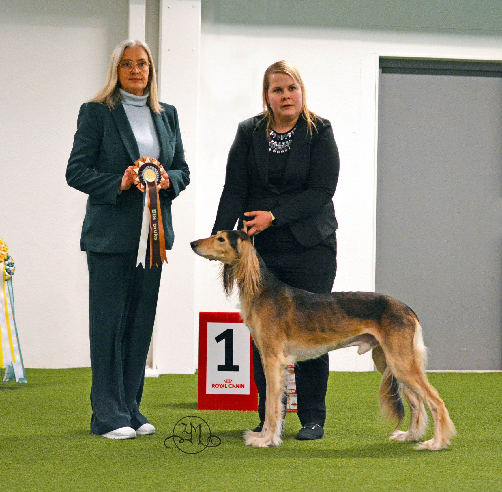 BIS BRUKS 1 C.I.B. EE & LV CH FI, NO & SE UCH NORDIC CH Aziz Sheraz