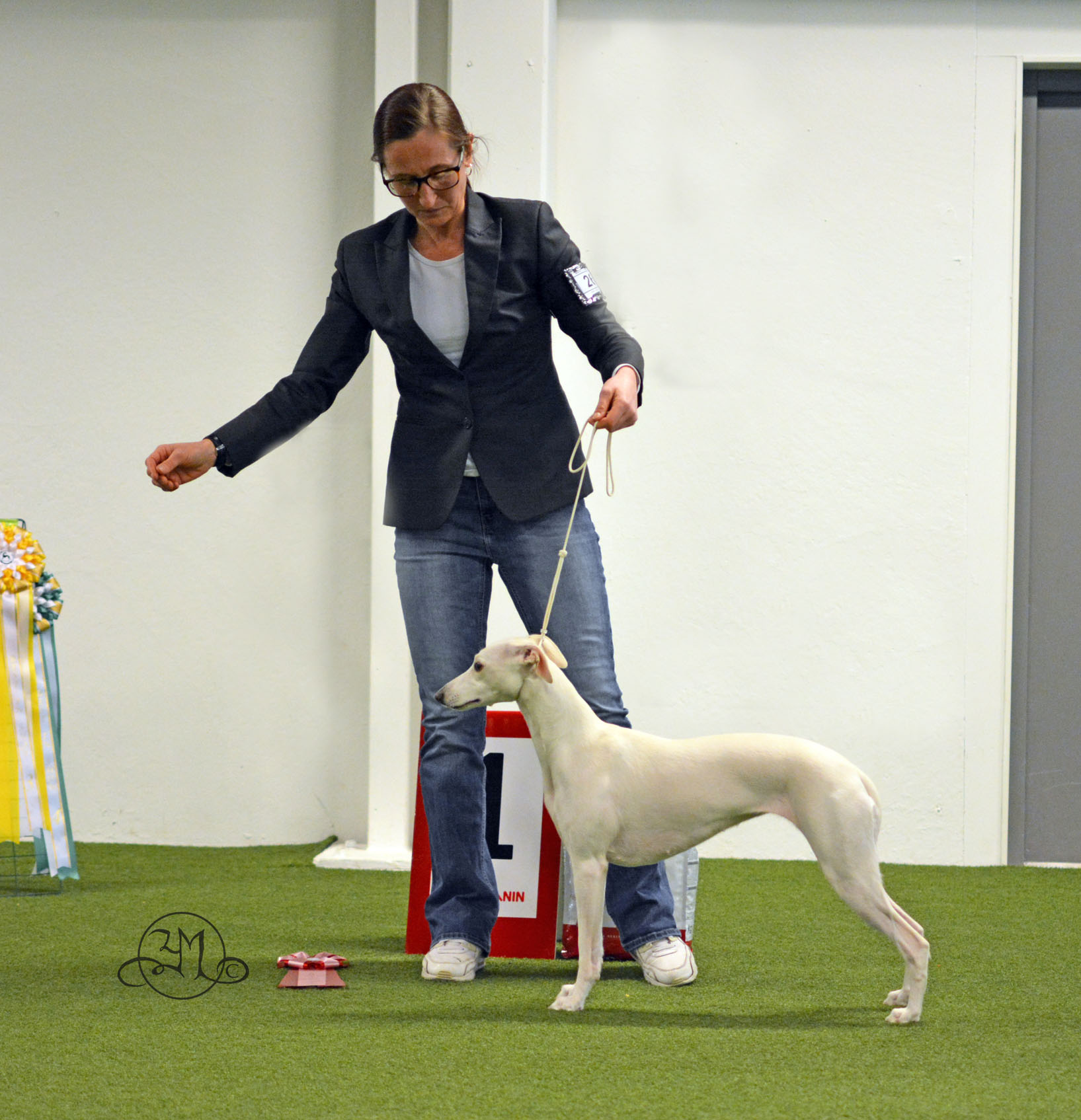 BIS Unghund 1 Mhalhi's Moore Than Perfect For Me