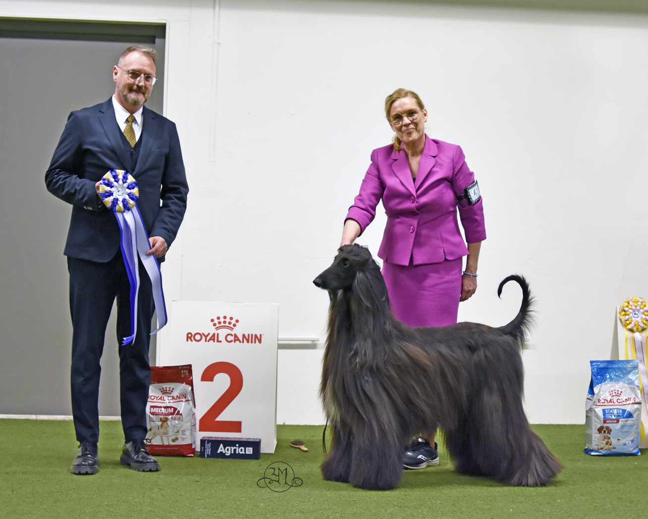 Best in Show 2 C.I.B. SL, LT & LV CH SE JV-19 SE, NO & FI UCH Xenos Jadesh 
