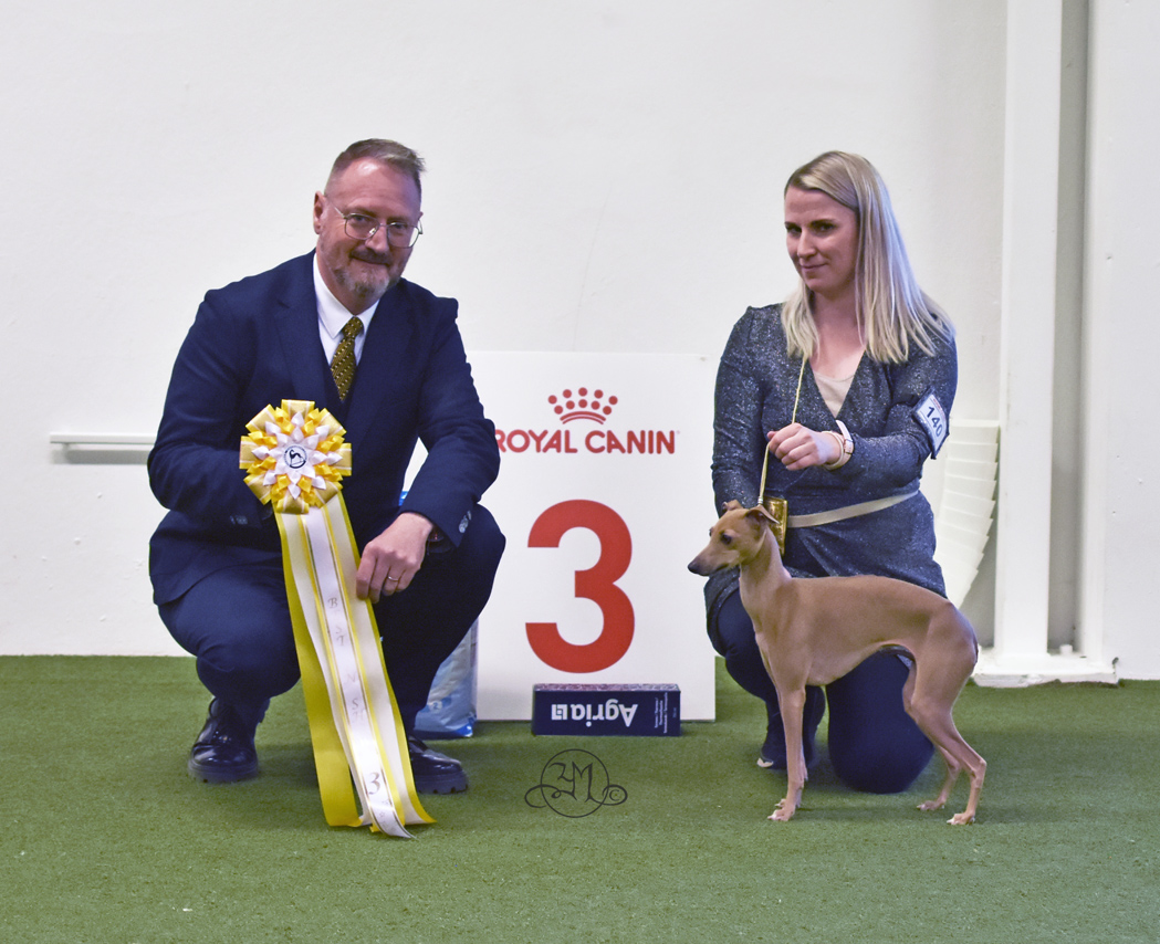 Best in Show 3 Sprintholic Lungiana 
