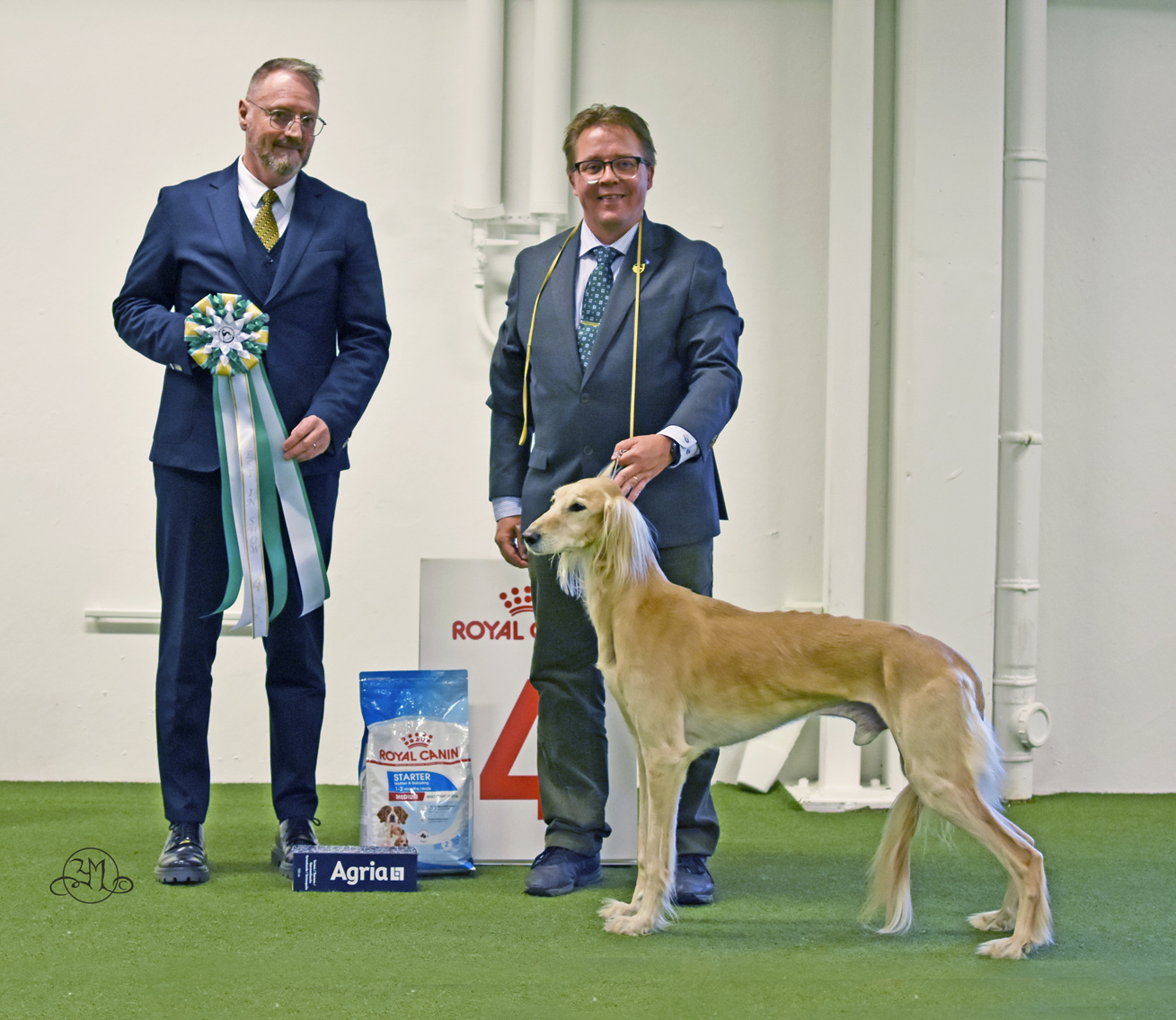 Best In show 4 SE UCH Badavie Alessio